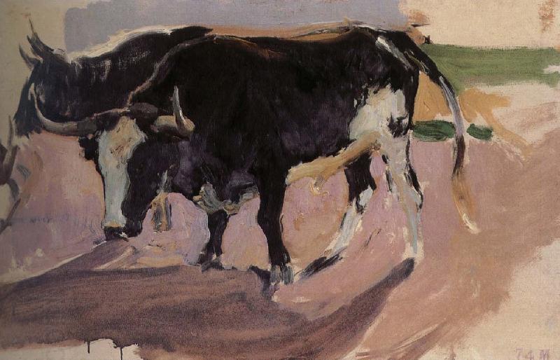 Joaquin Sorolla Bull Project oil painting picture